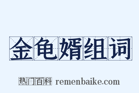 金龟婿组词是什么意思的图片